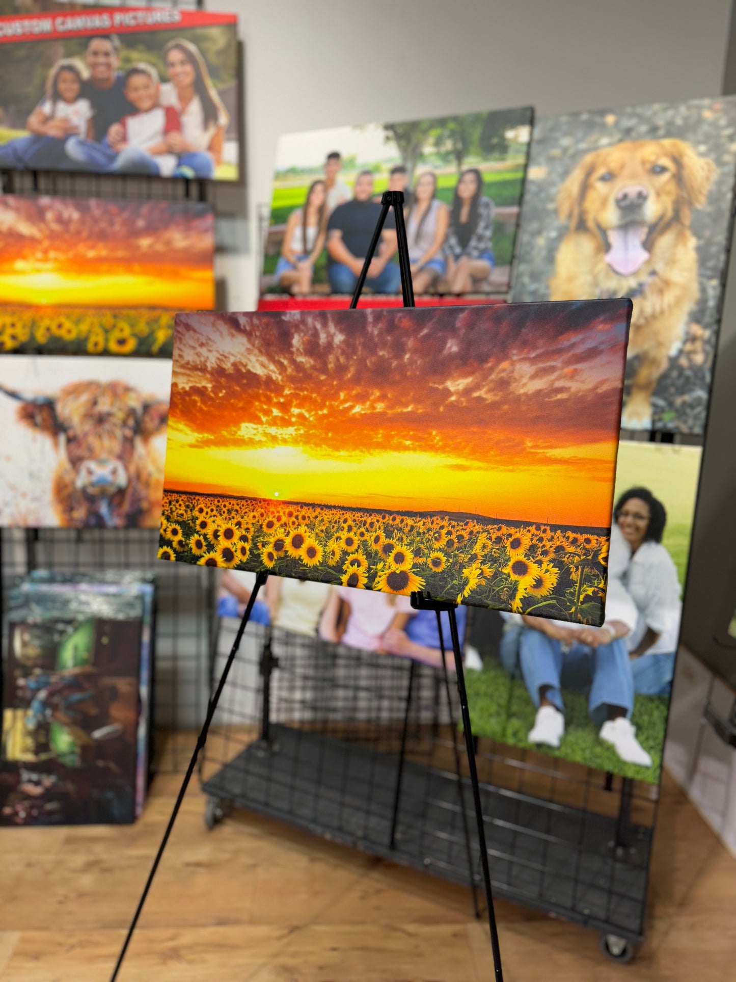Sunflower Field Sunset Canvas Print Art