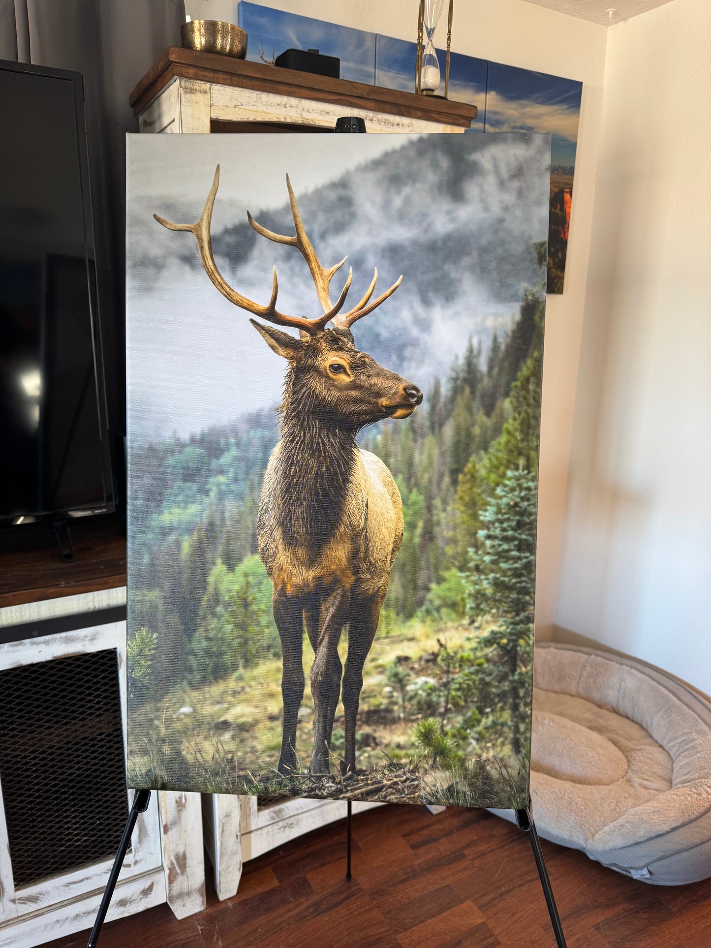 Bull Elk Vertical Photography Canvas Picture