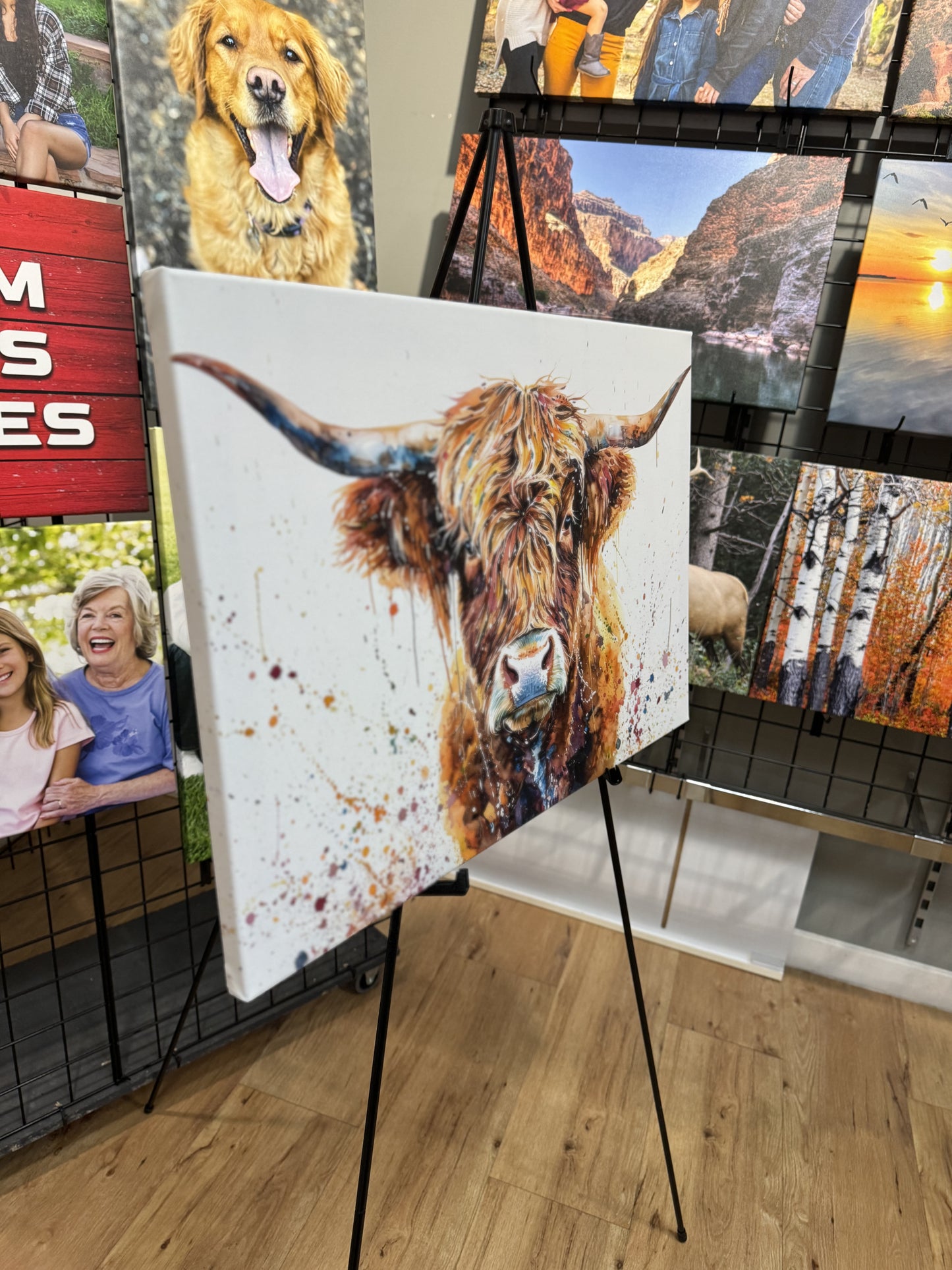 Highland Cow Paint Splatter Canvas Art Print