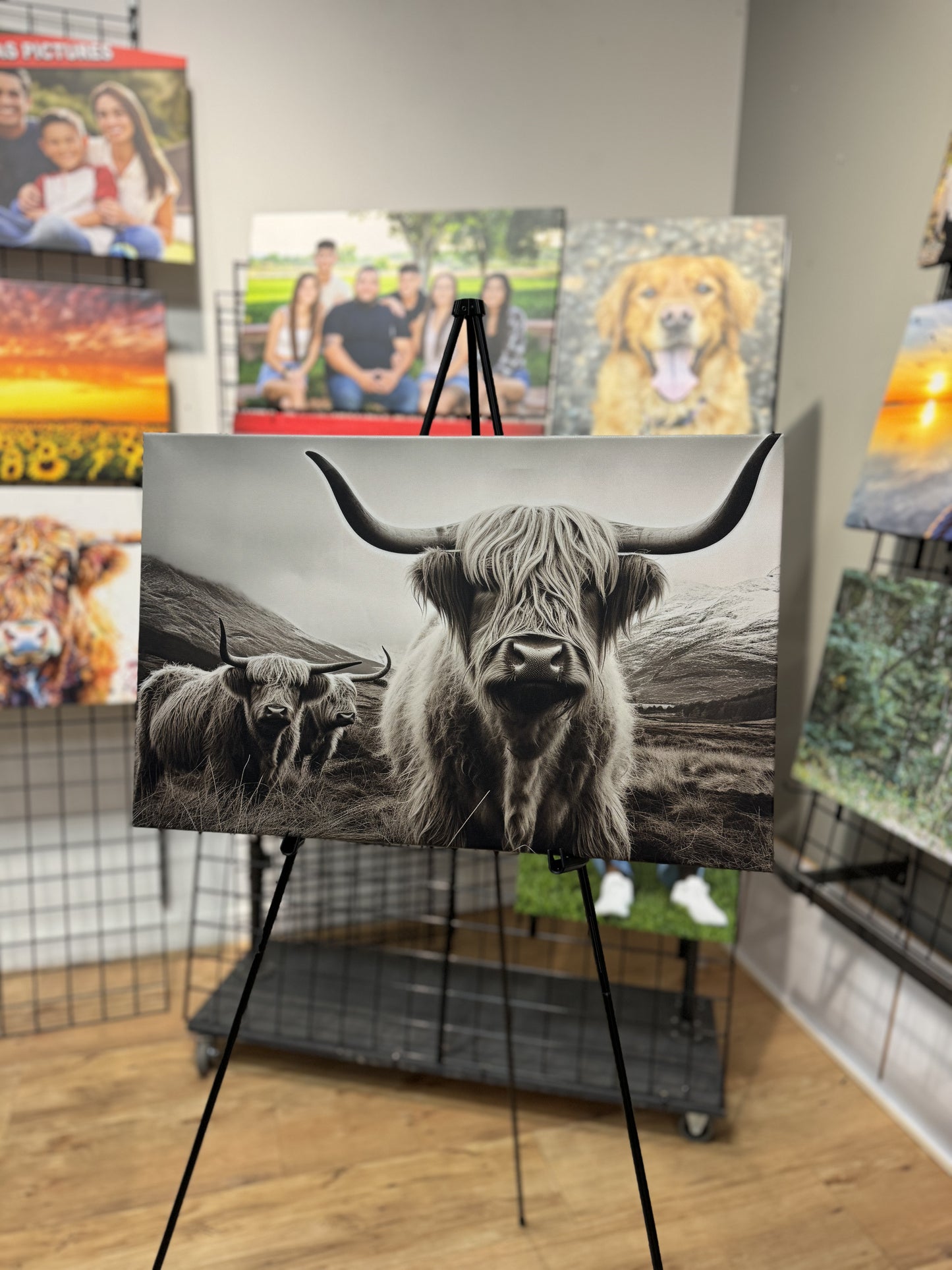 Highland Cows Black and White Photography Canvas Art