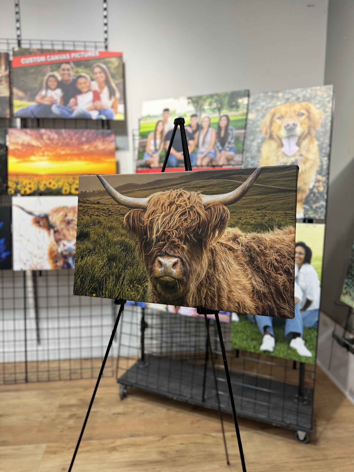 Brown Scottish Highland Cow Canvas Art Print