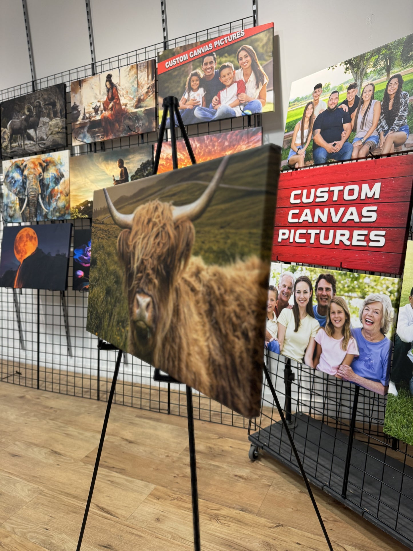 Brown Scottish Highland Cow Canvas Art Print